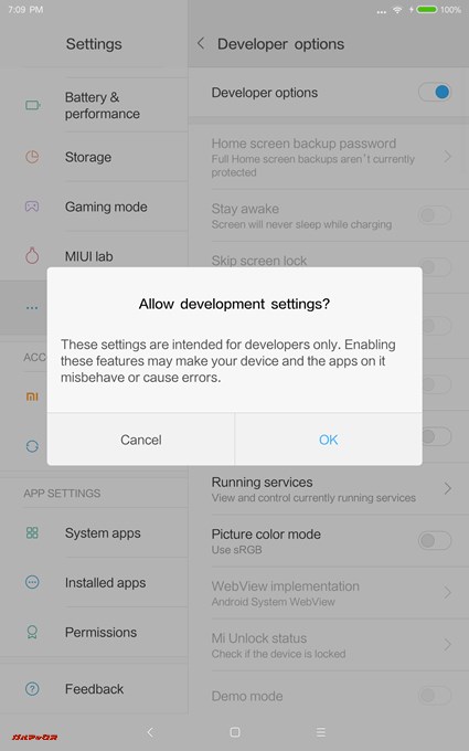Developer optionsをタップして有効化する