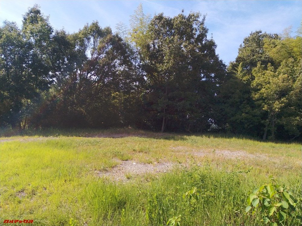 Xiaomi Mi Pad 4で撮影しました