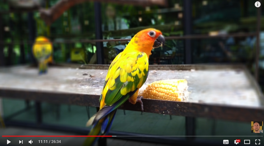 IMX230ボケ味はやや微妙