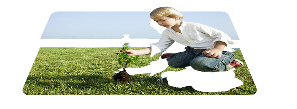 HUAWEI Mate 20 Proは画像のオプジェクトを分けて加工してくれる