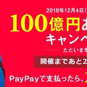 12月4日から開始！スマホ決済「PayPay」で20％還元キャンペーンがスタート！