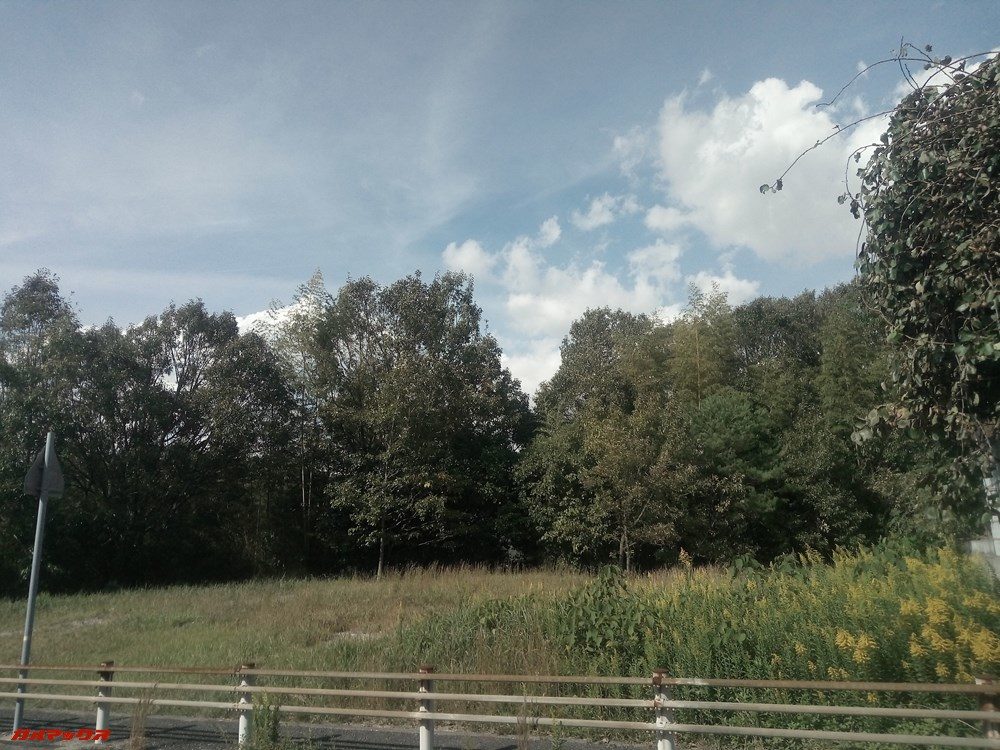 Teclast T20のリアカメラで撮影しました。