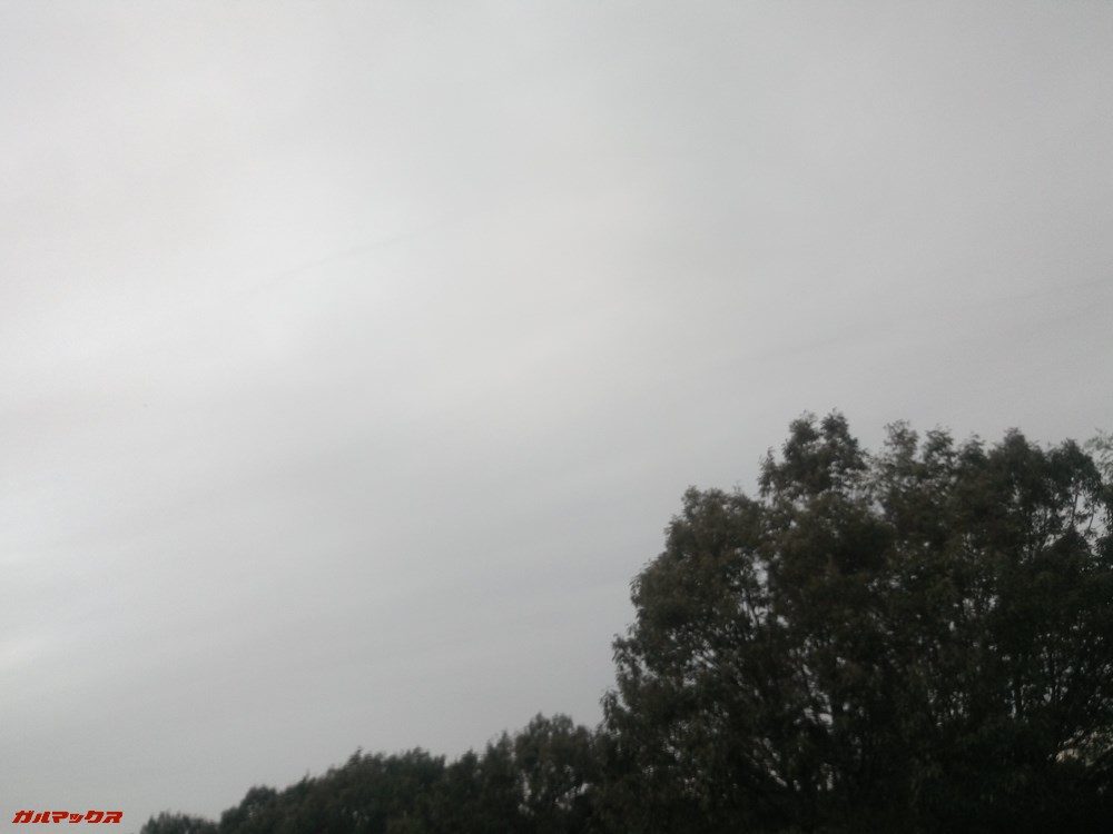 Teclast T20のリアカメラで撮影しました。