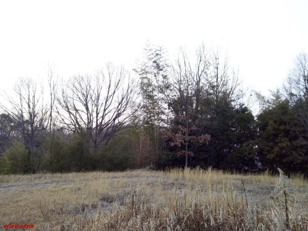 ALLDOCUBE Xで撮影しました。