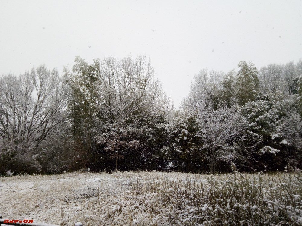 ALLDOCUBE Xで撮影しました。