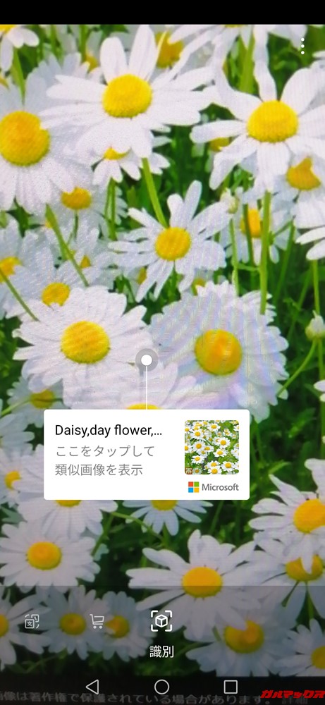 AI VISIONの識別はカメラを通して画像検索した結果を表示してくれる。