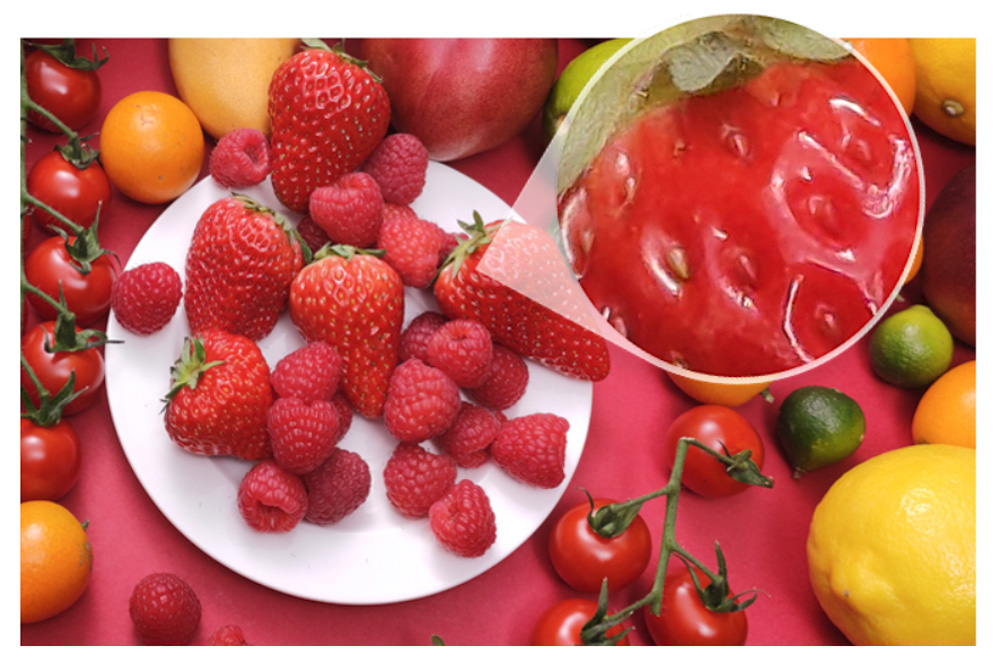 Xiaomi Mi 9 SEは4800万画素カメラを搭載しているので切り出しても解像感を損なうことなく切り出せます。