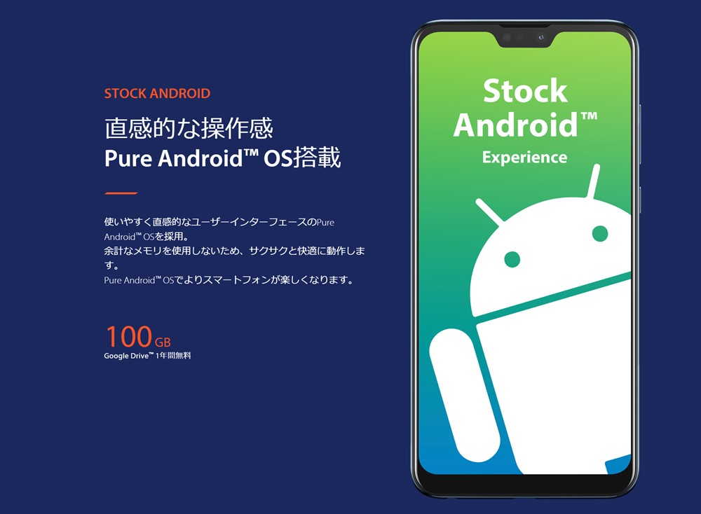 ZenFone Max Pro (M2)はGoogleドライブ100GBを1年間無料で利用できます。
