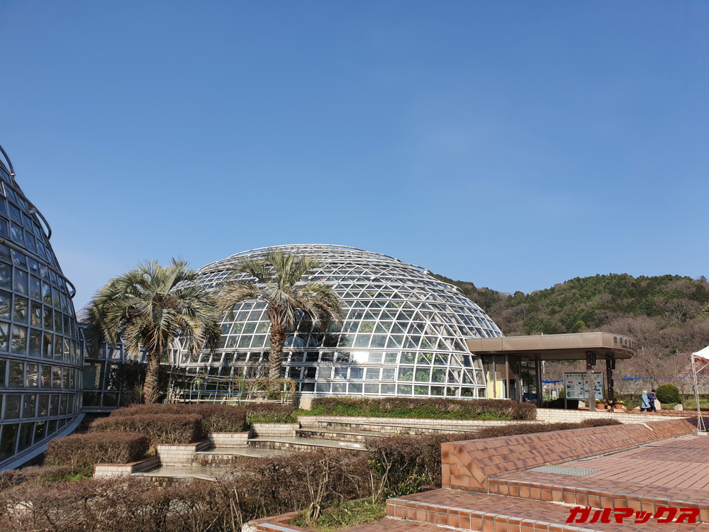 「Galaxy S10」で昼間に撮影した写真。