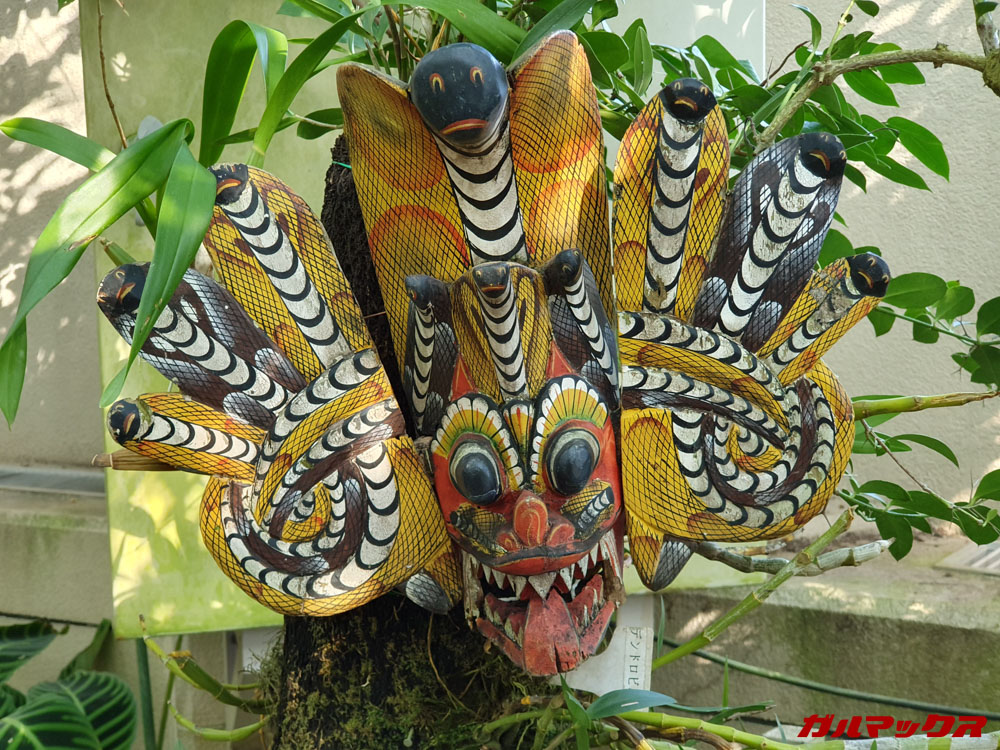 「Galaxy S10」で撮影した2倍ズームの写真。