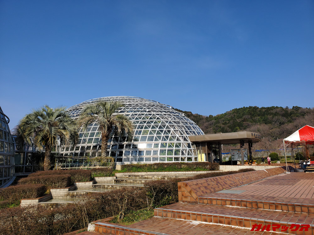 「Galaxy S10+」で昼間に撮影した写真。