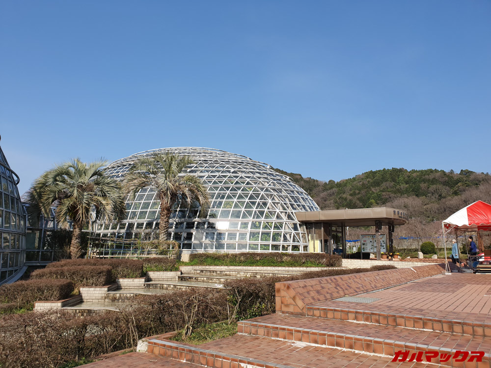 「Galaxy S10e」で昼間に撮影した写真。