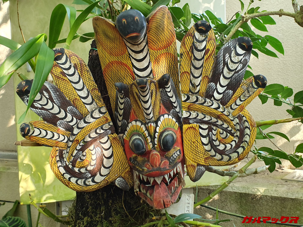 「Galaxy S10e」で撮影したズーム写真。