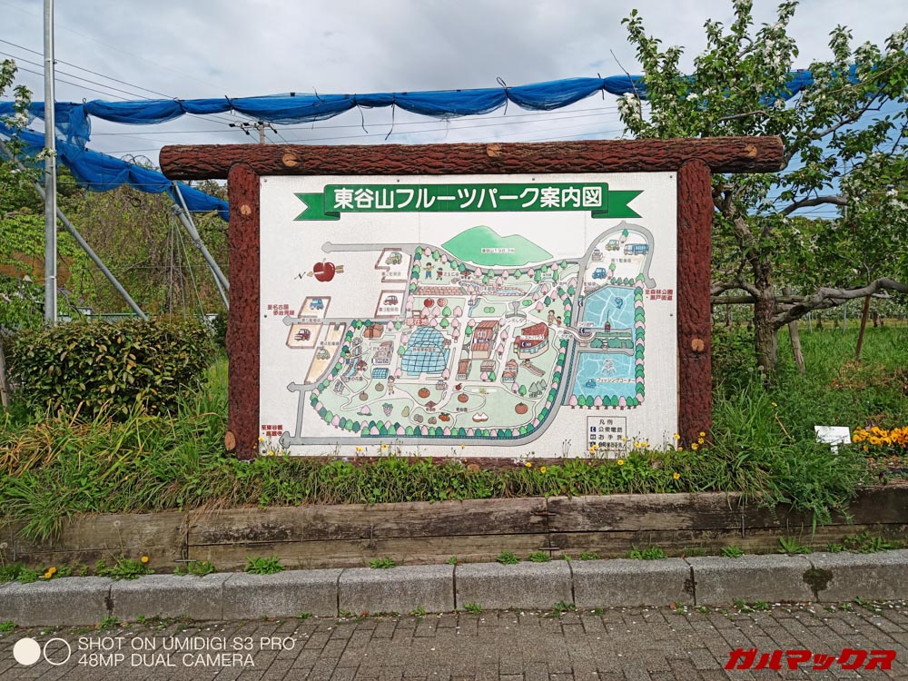 UMIDIGI S3 Proの2倍ズームは十分実用的。