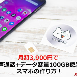 モナWi-Fiの単体SIMを活用して音声通話+データ容量100GBを月額3,680円で実現
