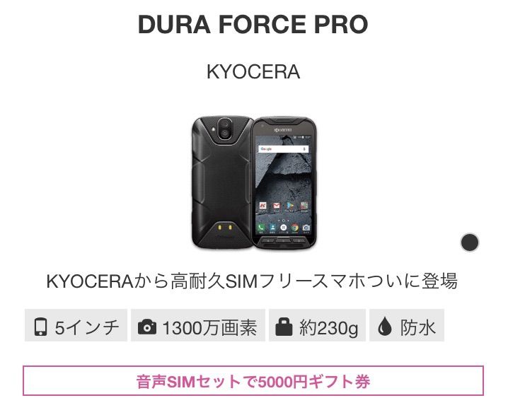 IIJmio夏トク！キャンペーン