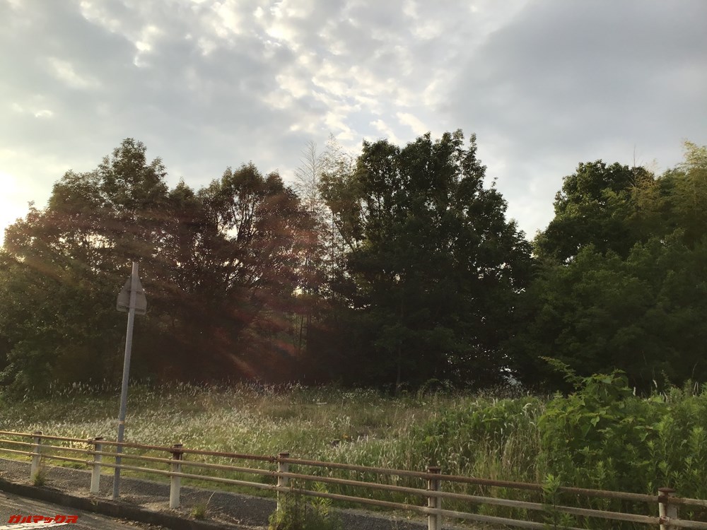 iPod touch（第7世代）で写真を撮ってみました