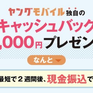 ワイモバイルは正規代理店で申し込むとキャッシュバック貰えるの知ってる？？？