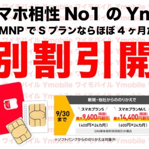［ほぼ4ヶ月タダ］ワイモバイルのSIM単体乗り換え特典が・・・ヤバい！乗り換えるなら今でしょ！