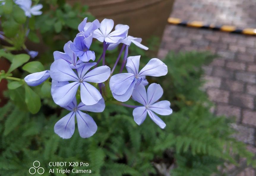 CUBOT X20 Pro, X20 and P30画像4