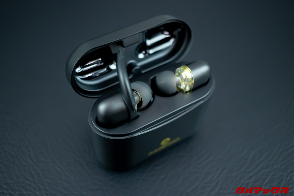 Rademax LEOにイヤーフックを搭載するとケースに入らない