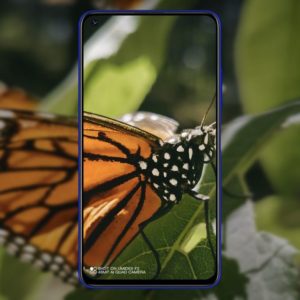 UMIDIGI F2はマクロカメラを含むクアッドカメラを搭載か