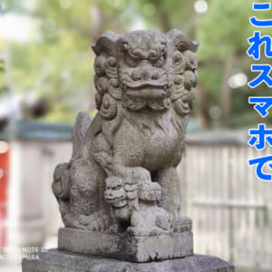 ［レビュー］Xiaomi Mi Note 10の背景ボケ撮影（ポートレート）は物撮りOK！丸ボケが綺麗！