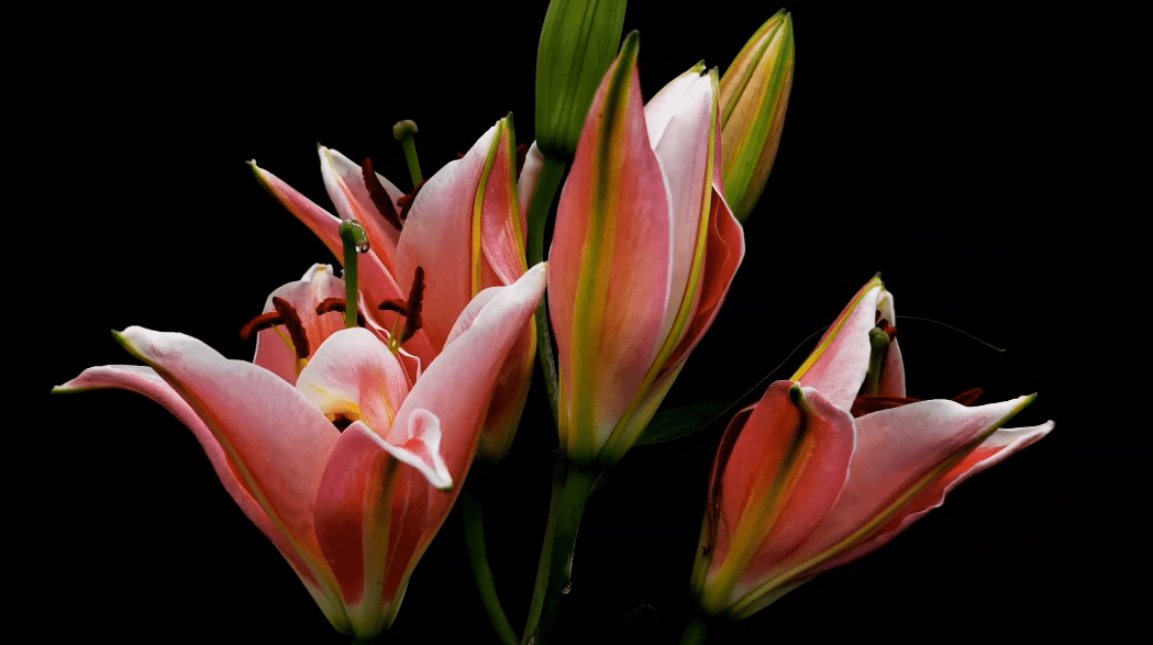 HUAWEI Mate 30 Pro 5G