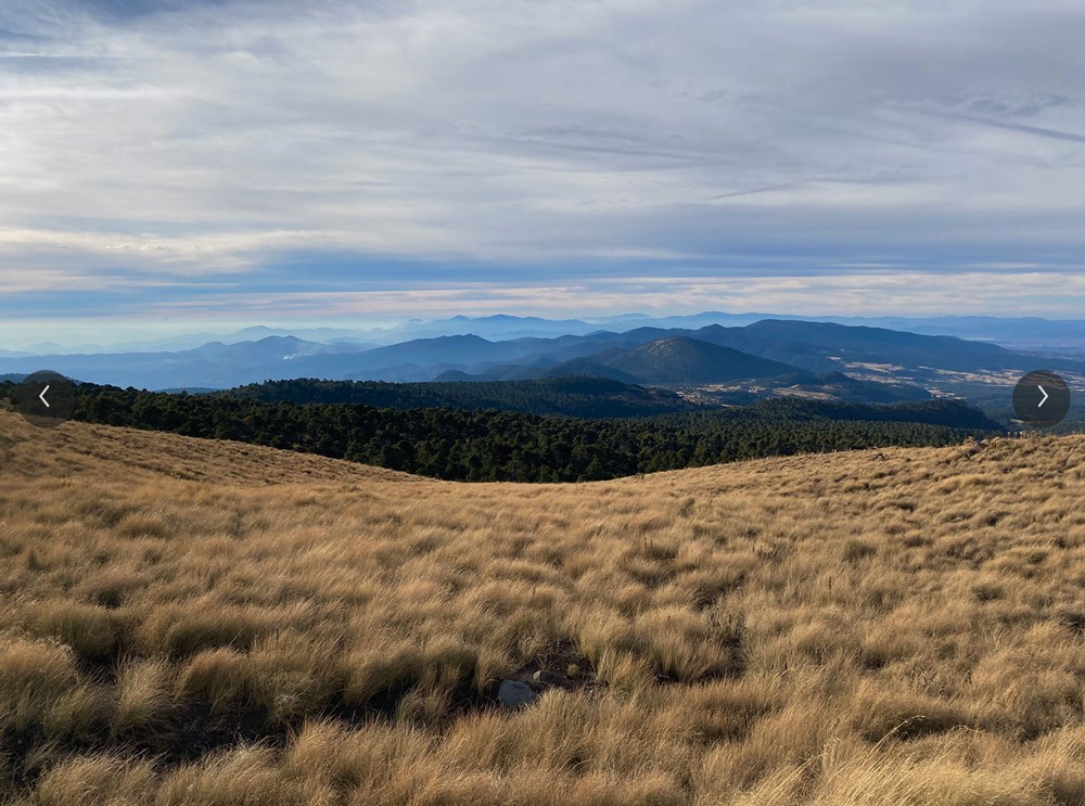 iPhone SE(第2世代) 作例