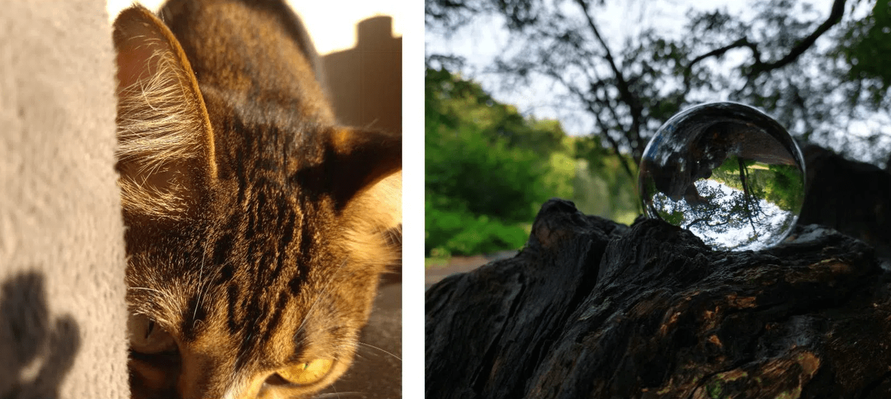 Motorola One Vision Plus