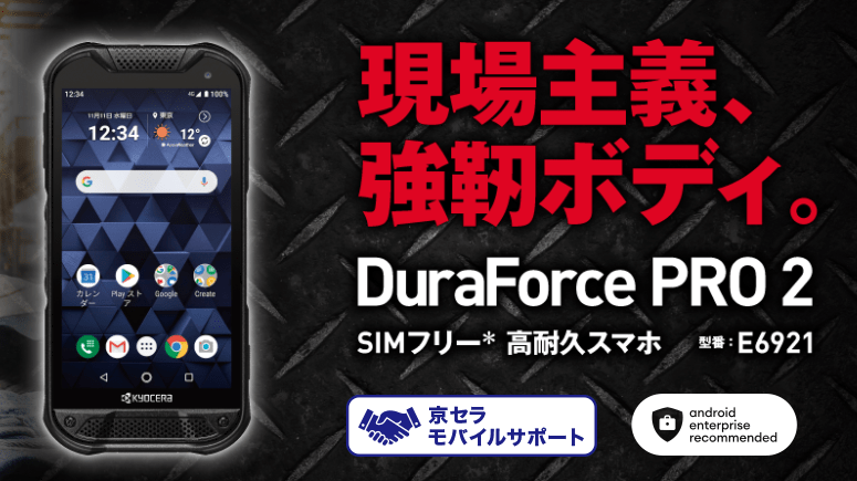 DuraForce PRO 2