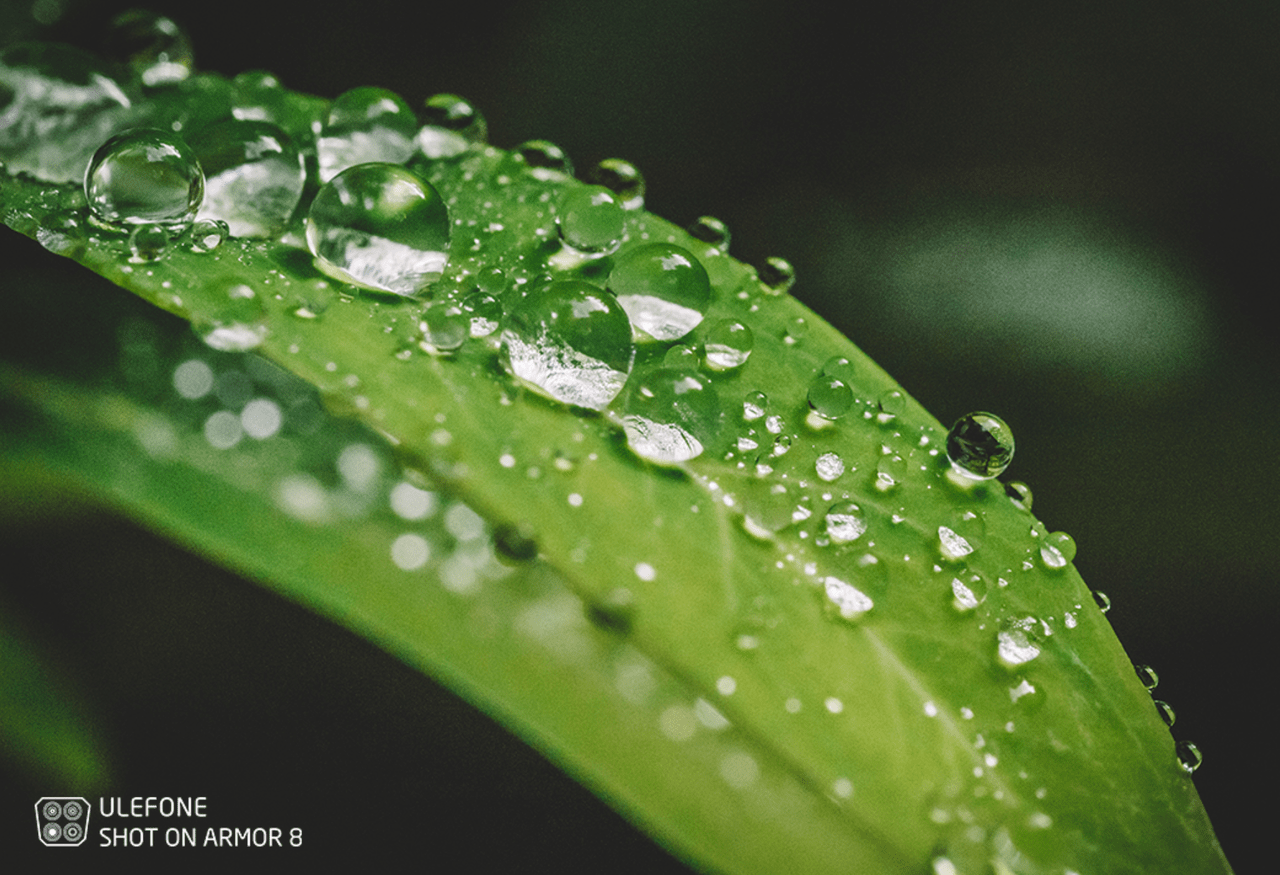 Ulefone Armor 8
