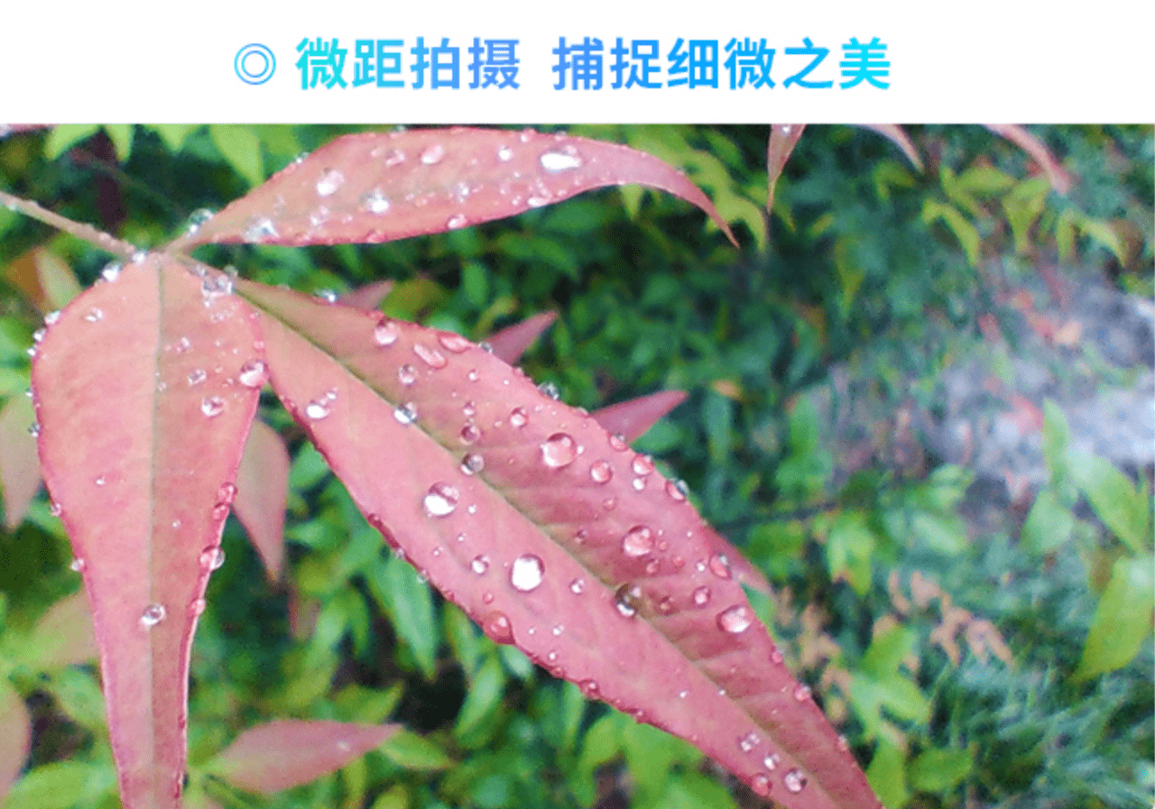 ZTE Blade V2020 Smart