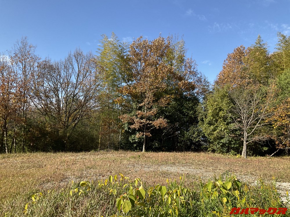 iPad Air(第4世代)