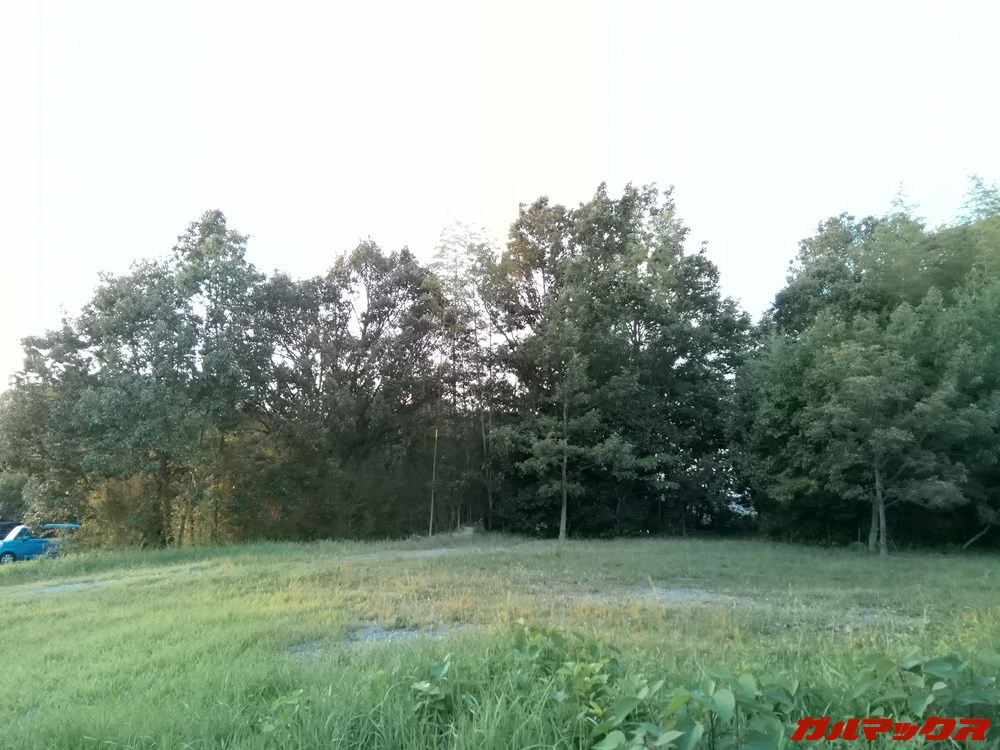 LAVIE Tab E（TE508/KAS）