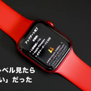 AppleWatchで心肺機能が「低い」時に通知できるように。設定してチェックしてみた