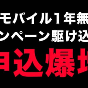 1年無料の波に乗れ！楽天モバイル、駆け込み需要で申込爆増