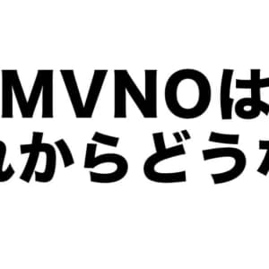 MVNOが悲鳴。キャリアの新料金プランに対抗できない、卸値を下げてくれと総務省に要望