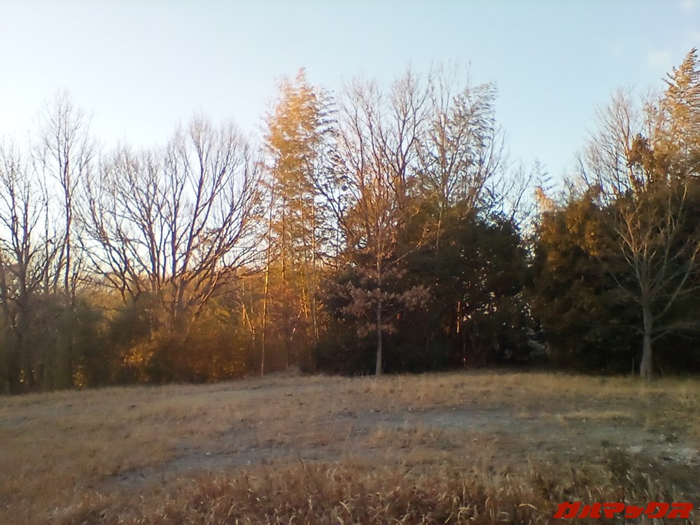 Fire HD 10(第9世代)