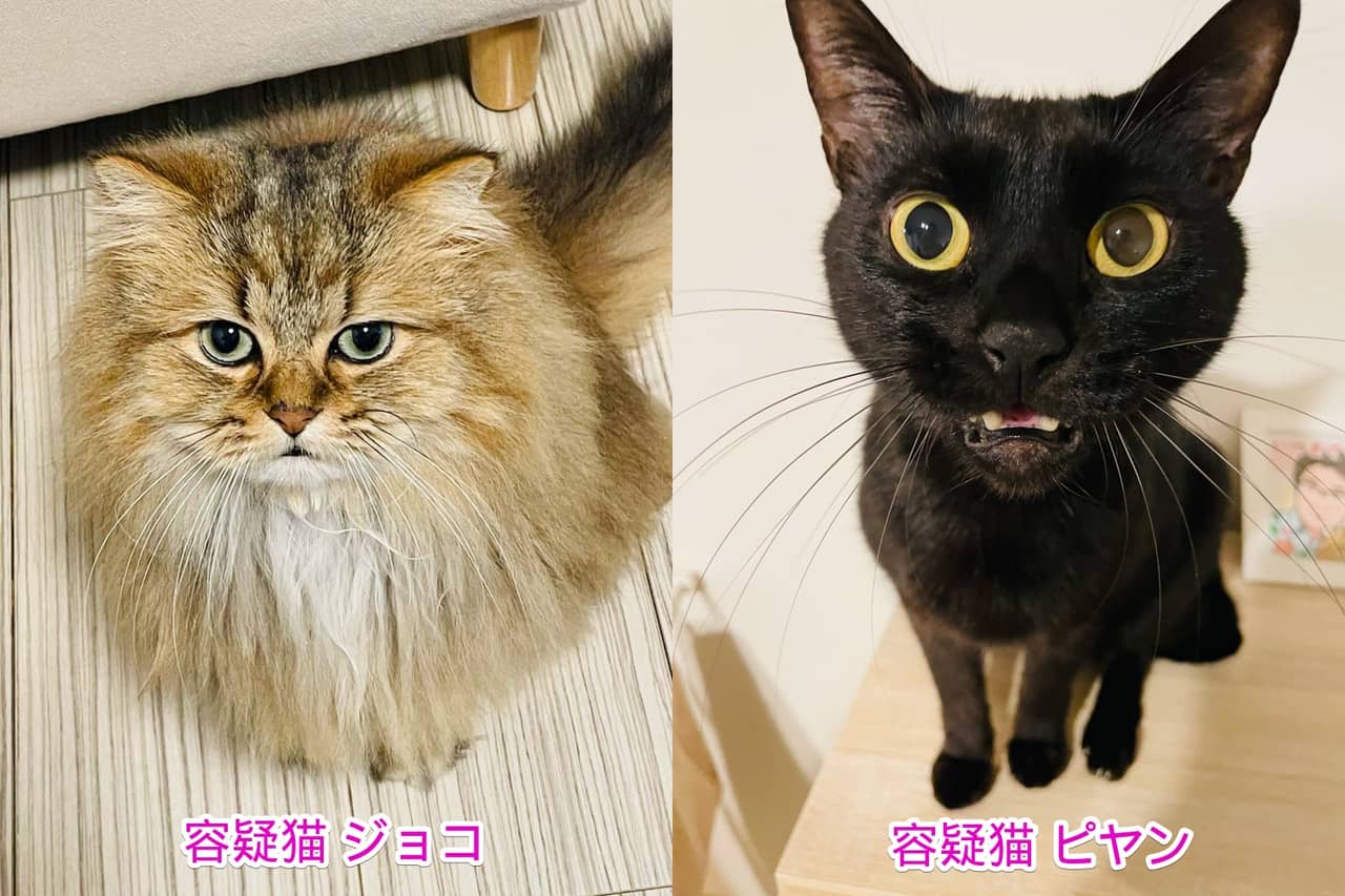 Anker PowerWave Magnetic Pad