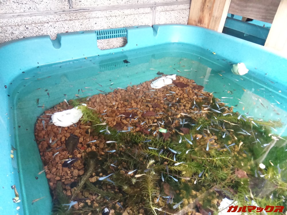 IdeaPad Duet Chromebook