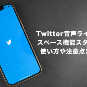 Twitterの音声ライブ配信「スペース」を使ってみた。使い方や設定方法、注意点をチェック