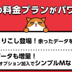 ワイモバイル、8月からデータ繰り越し対応！データ増量オプションの容量も増加！