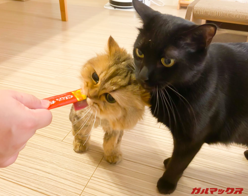 Neabotのバリカン