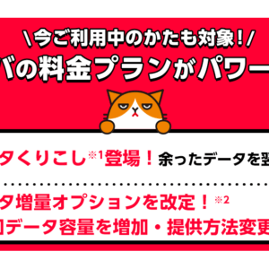 ワイモバのデータ繰り越し適用は8月分から！増量オプションの適用月は契約時期で変わるので注意！