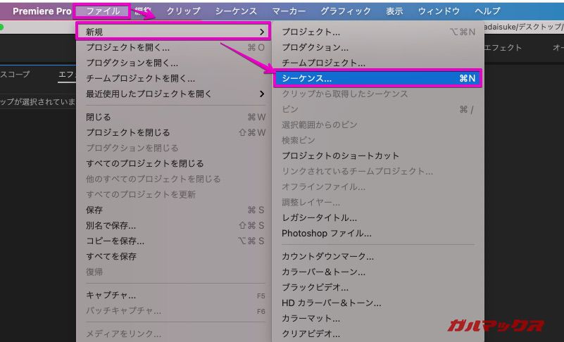 YouTube short Premiere Pro