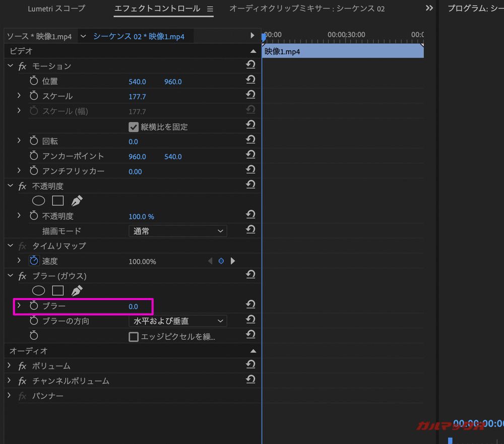YouTube short Premiere Pro