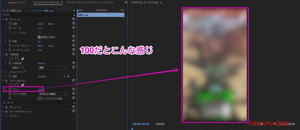 YouTube short Premiere Pro