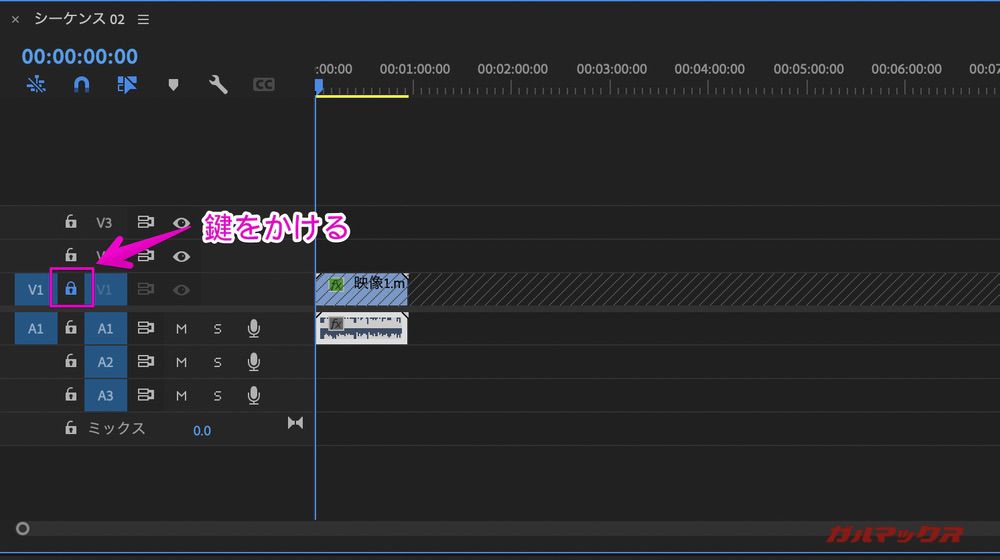 YouTube short Premiere Pro