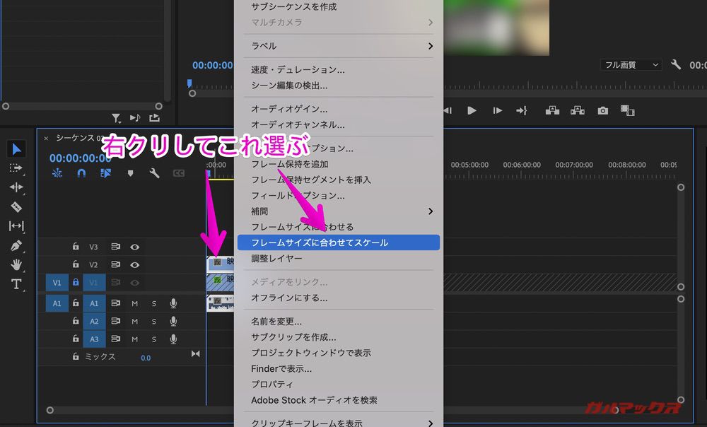 YouTube short Premiere Pro
